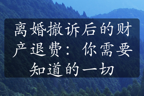 离婚撤诉后的财产退费：你需要知道的一切