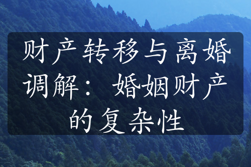 财产转移与离婚调解：婚姻财产的复杂性