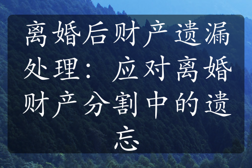 离婚后财产遗漏处理：应对离婚财产分割中的遗忘