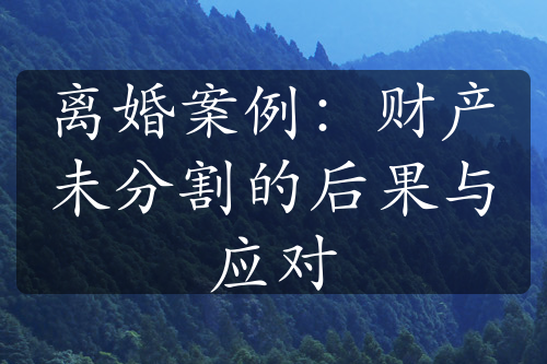 离婚案例：财产未分割的后果与应对