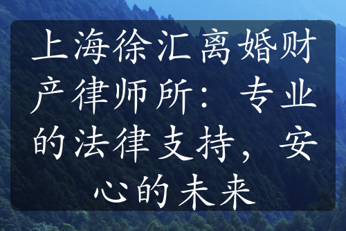 上海徐汇离婚财产律师所：专业的法律支持，安心的未来