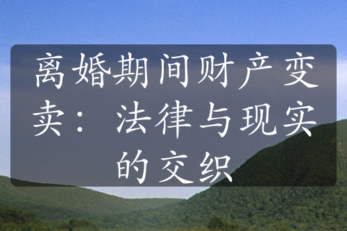 离婚期间财产变卖：法律与现实的交织