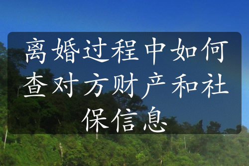 离婚过程中如何查对方财产和社保信息