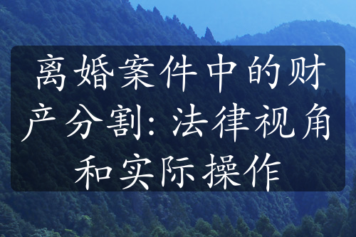 离婚案件中的财产分割: 法律视角和实际操作