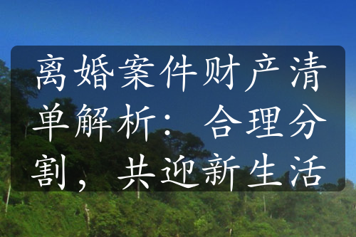 离婚案件财产清单解析：合理分割，共迎新生活