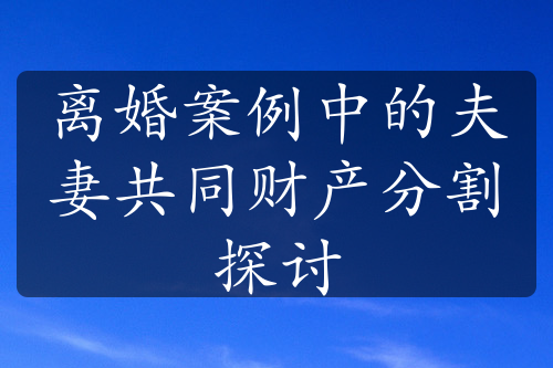 离婚案例中的夫妻共同财产分割探讨