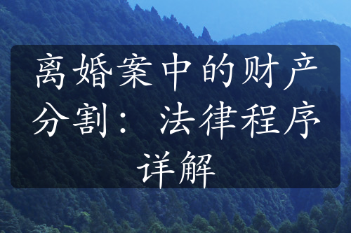 离婚案中的财产分割：法律程序详解