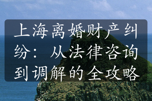 上海离婚财产纠纷：从法律咨询到调解的全攻略