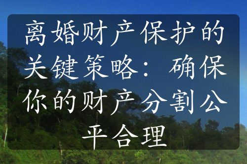 离婚财产保护的关键策略：确保你的财产分割公平合理