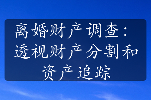 离婚财产调查：透视财产分割和资产追踪