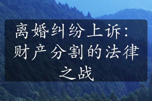 离婚纠纷上诉：财产分割的法律之战