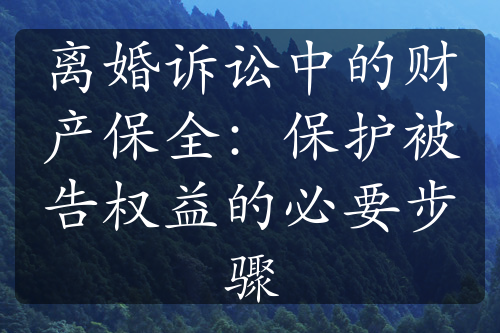 离婚诉讼中的财产保全：保护被告权益的必要步骤