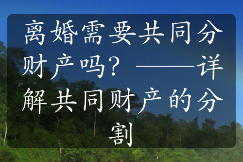 离婚需要共同分财产吗？——详解共同财产的分割