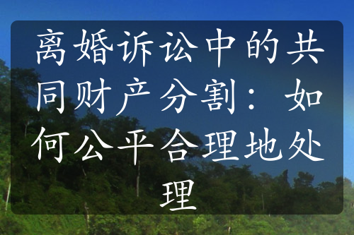 离婚诉讼中的共同财产分割：如何公平合理地处理