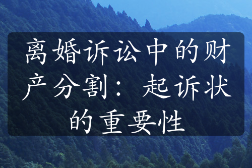 离婚诉讼中的财产分割：起诉状的重要性