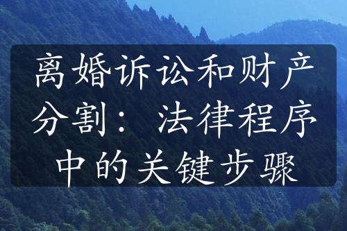 离婚诉讼和财产分割：法律程序中的关键步骤