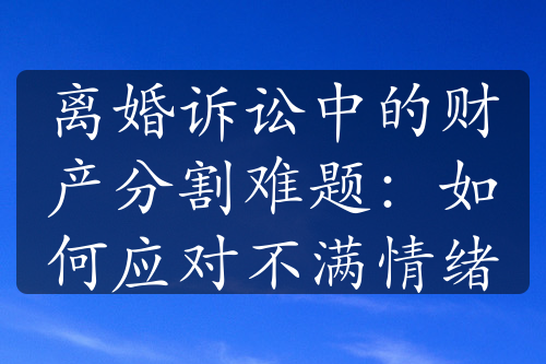 离婚诉讼中的财产分割难题：如何应对不满情绪