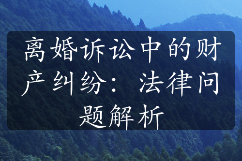 离婚诉讼中的财产纠纷：法律问题解析