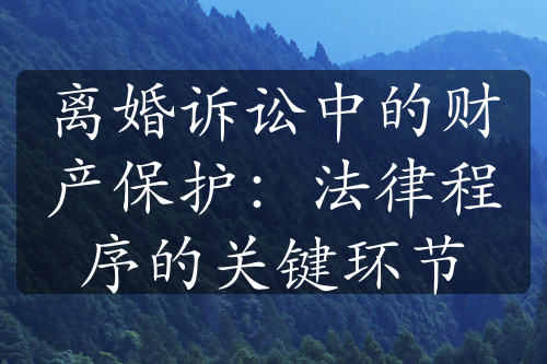 离婚诉讼中的财产保护：法律程序的关键环节