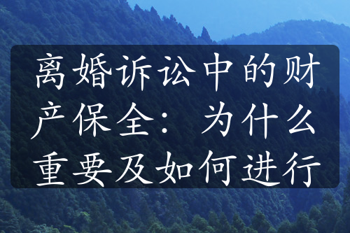 离婚诉讼中的财产保全：为什么重要及如何进行