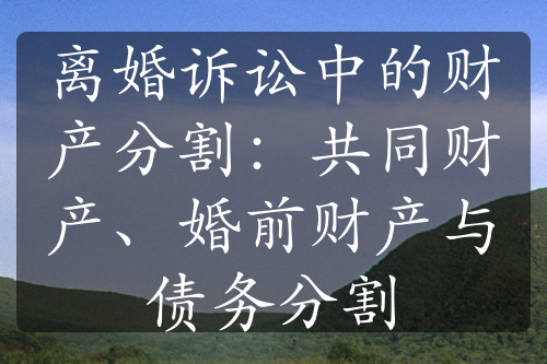 离婚诉讼中的财产分割：共同财产、婚前财产与债务分割