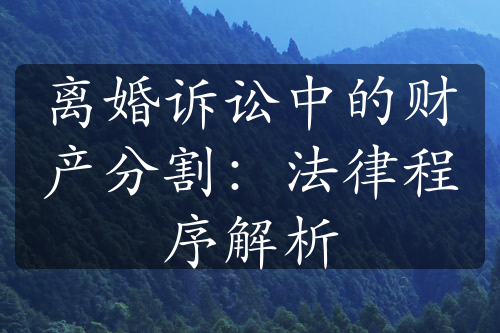 离婚诉讼中的财产分割：法律程序解析