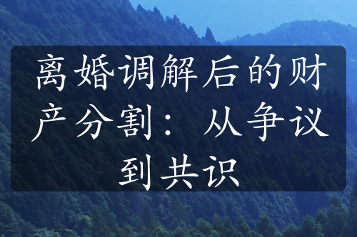 离婚调解后的财产分割：从争议到共识