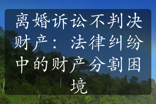 离婚诉讼不判决财产：法律纠纷中的财产分割困境