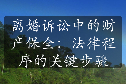 离婚诉讼中的财产保全：法律程序的关键步骤