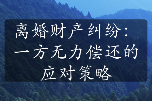 离婚财产纠纷：一方无力偿还的应对策略