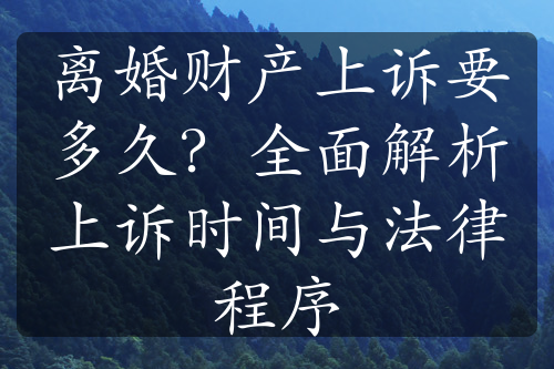 离婚财产上诉要多久？全面解析上诉时间与法律程序