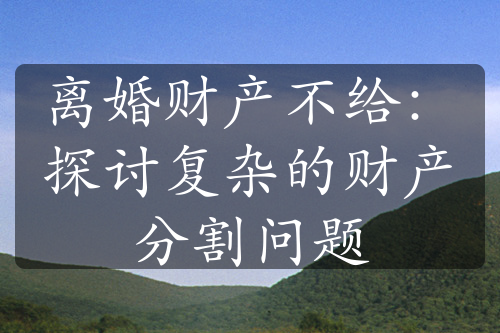 离婚财产不给：探讨复杂的财产分割问题