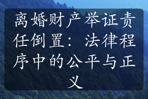 离婚财产举证责任倒置：法律程序中的公平与正义