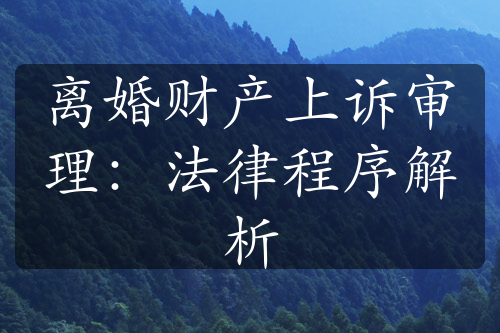 离婚财产上诉审理：法律程序解析