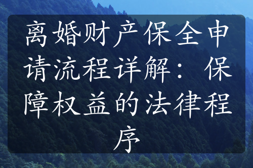 离婚财产保全申请流程详解：保障权益的法律程序