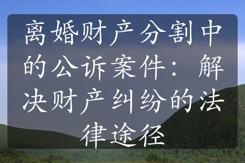 离婚财产分割中的公诉案件：解决财产纠纷的法律途径