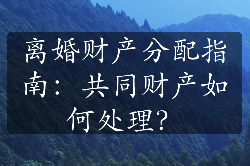 离婚财产分配指南：共同财产如何处理？