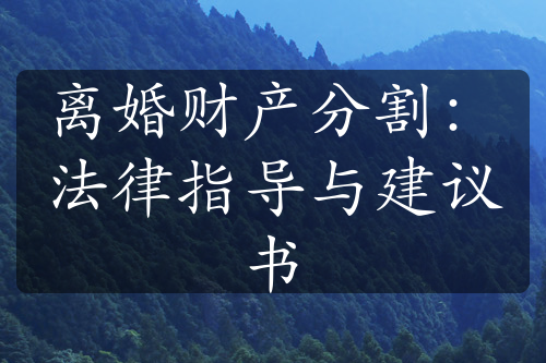 离婚财产分割：法律指导与建议书