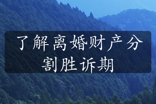 了解离婚财产分割胜诉期