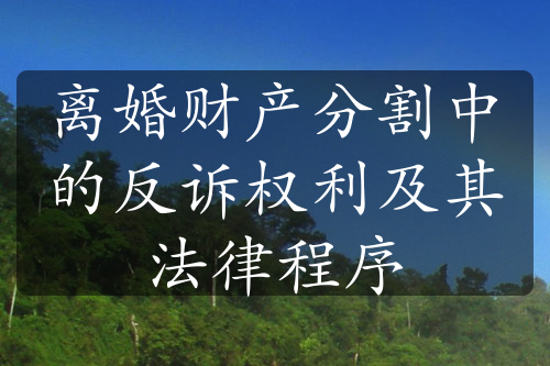 离婚财产分割中的反诉权利及其法律程序