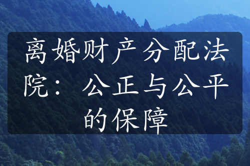 离婚财产分配法院：公正与公平的保障