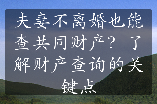 夫妻不离婚也能查共同财产？了解财产查询的关键点