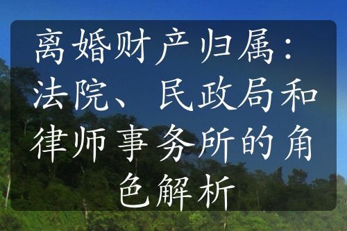 离婚财产归属：法院、民政局和律师事务所的角色解析