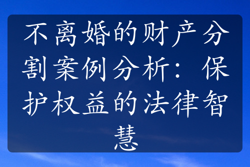 不离婚的财产分割案例分析：保护权益的法律智慧