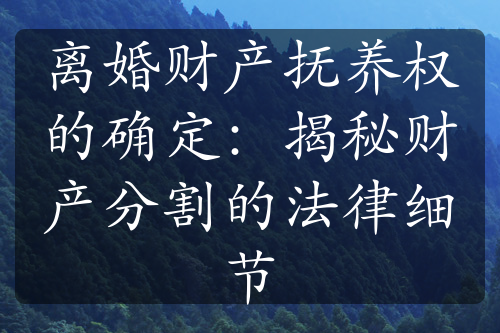 离婚财产抚养权的确定：揭秘财产分割的法律细节