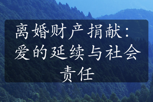 离婚财产捐献：爱的延续与社会责任