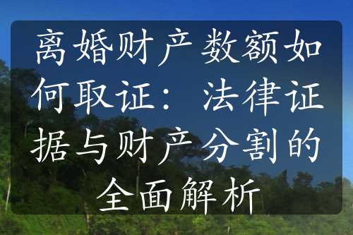 离婚财产数额如何取证：法律证据与财产分割的全面解析