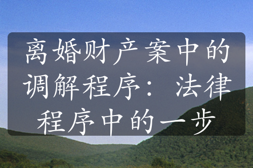 离婚财产案中的调解程序：法律程序中的一步