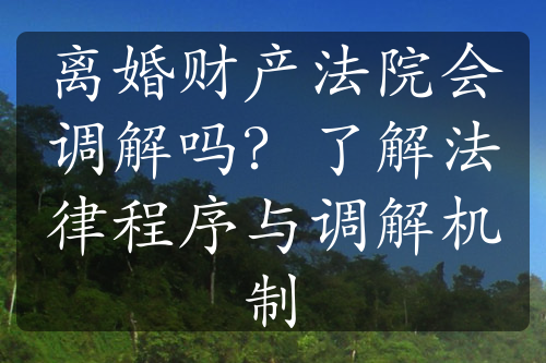 离婚财产法院会调解吗？了解法律程序与调解机制