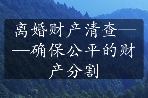 离婚财产清查——确保公平的财产分割